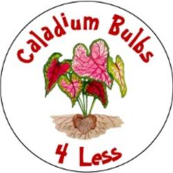 Time to Vote for the Caladiums Bulbs Photo Contest!