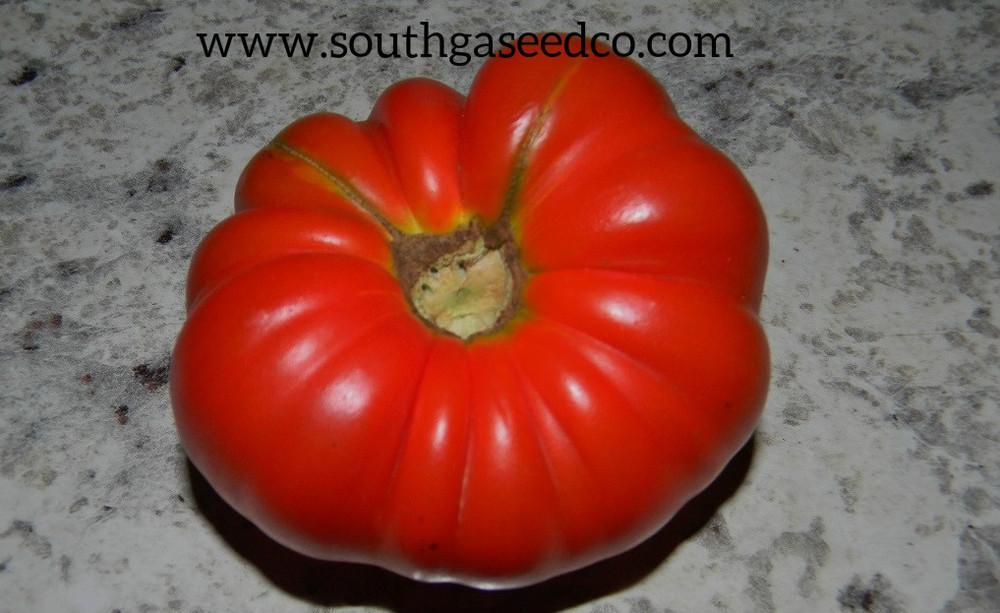 Photo of Tomato (Solanum lycopersicum 'Delicious') uploaded by SouthGASeedCo