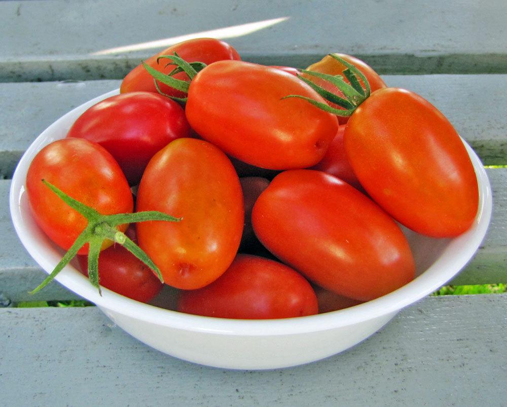 Photo of Tomato (Solanum lycopersicum 'Juliet') uploaded by TBGDN