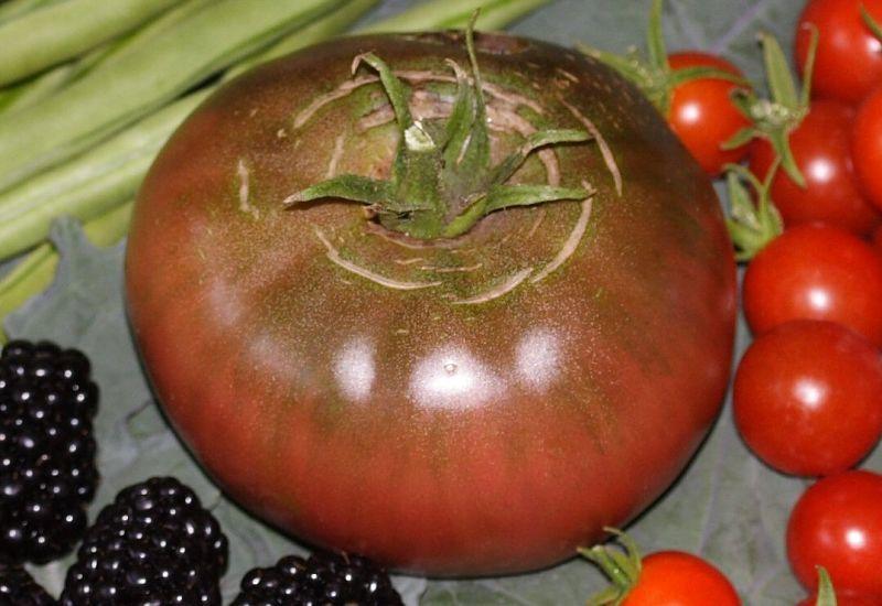 Photo of Tomato (Solanum lycopersicum 'Black Krim') uploaded by DianeSeeds