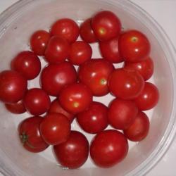 Location: NE Arkansas
Date: 2017-08-17
Red Robin Tomatoes