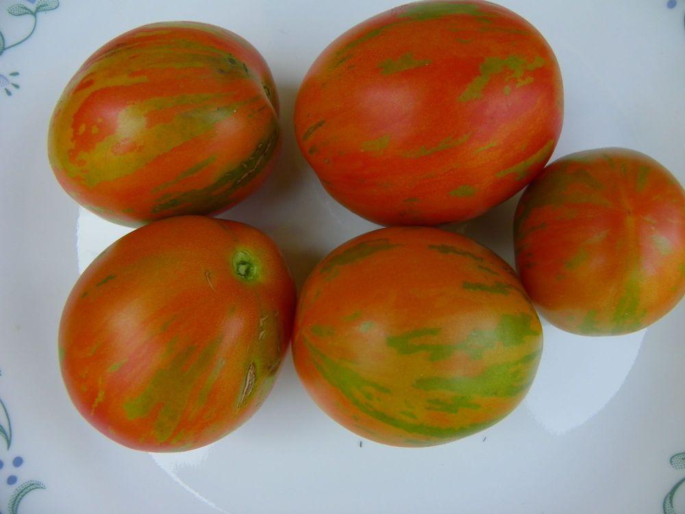 Photo of Tomato (Solanum lycopersicum 'Russian Queen') uploaded by Newyorkrita