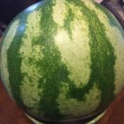 My first watermelon! 