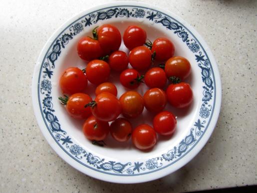 Photo of Tomato (Solanum lycopersicum 'Husky Cherry Red') uploaded by DonShirer