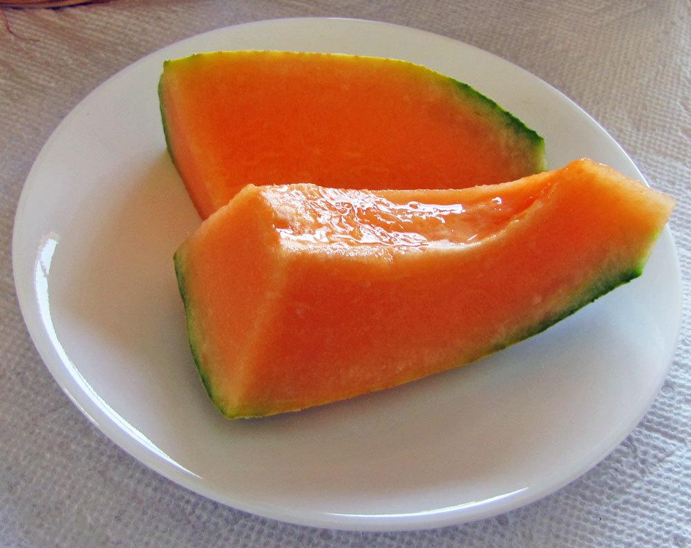 Photo of Cantaloupe (Cucumis melo 'Pride of Wisconsin') uploaded by TBGDN
