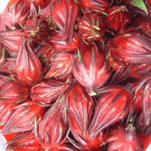 This is a quart of the Roselle calcyes or fruit which will be deh