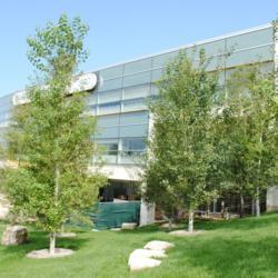 Location: College of DuPage in Glen Ellyn, IL
Date: August 2014
several planted trees in a landscape