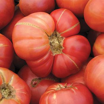 Photo of Tomato (Solanum lycopersicum 'Brandywine, Pink') uploaded by Joy