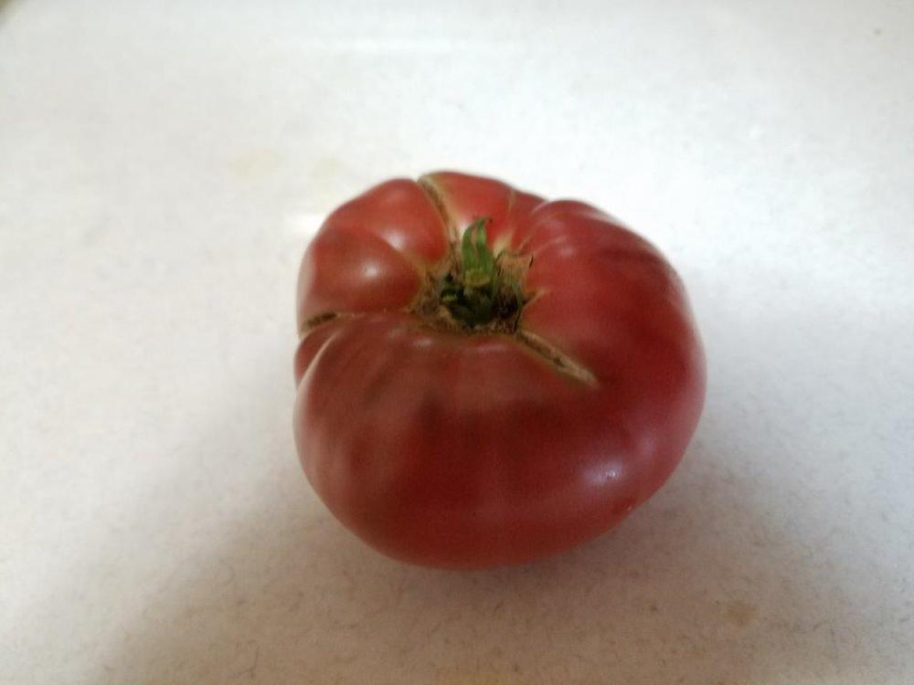 Photo of Tomato (Solanum lycopersicum 'Rosella Purple') uploaded by cybrczch