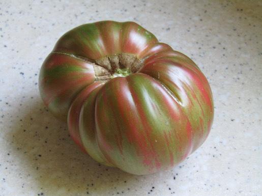 Photo of Tomato (Solanum lycopersicum 'Adelaide Festival') uploaded by DonShirer