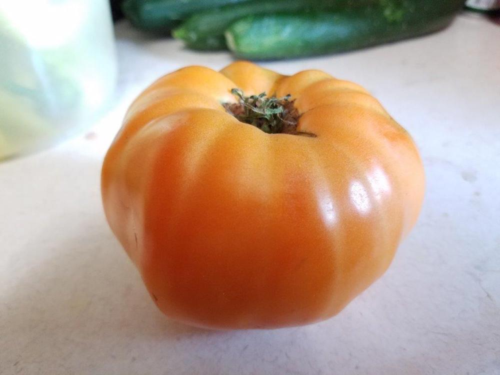 Photo of Tomato (Solanum lycopersicum 'Sweet Ozark Orange') uploaded by cybrczch