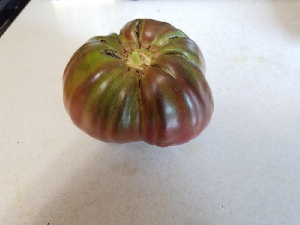 Photo of Tomato (Solanum lycopersicum 'Brad's Black Heart') uploaded by cybrczch