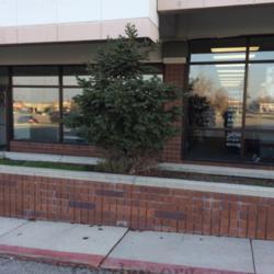 Location: West Jordan, Utah, United States
Date: 2017-01-16
An almost entirely reverted plant.