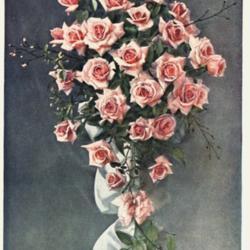 
Date: c. 1910
photo is frontispiece to Felton's 'British Floral Decoration', 19