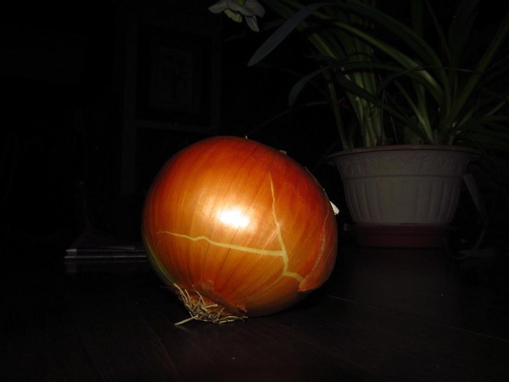 Photo of Onion (Allium cepa 'Walla Walla Sweet') uploaded by jmorth