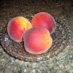Location: Twisp
Date: September
These are peaches from our spindly tree that started in the old c