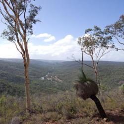 Location: Avon Valley National Park
Photographs by Gnangarra...commons.wikimedia.org