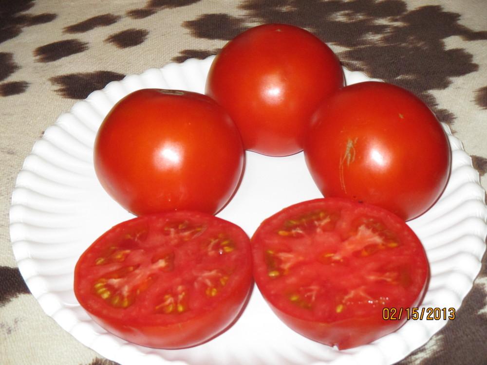 Photo of Tomato (Solanum lycopersicum 'Quebec 309') uploaded by BetNC
