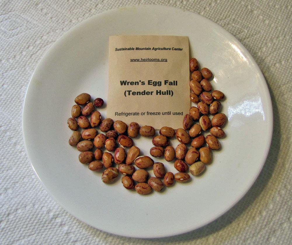 Photo of Snap Bean (String (Phaseolus vulgaris 'Wren's Egg') uploaded by TBGDN