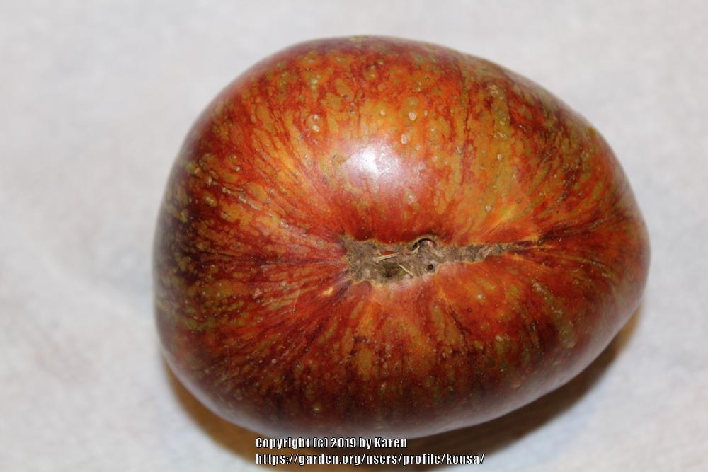 Photo of Tomato (Solanum lycopersicum 'Dark Galaxy') uploaded by kousa