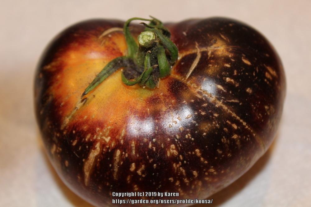 Photo of Tomato (Solanum lycopersicum 'Dark Galaxy') uploaded by kousa