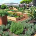 Vegetable Victory Garden Webinar by Charlie Nardozzi
