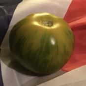 A Fourth of July tomato!