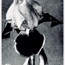 
Date: c. 1930
photo from the 1930 catalog, Robert Wayman, Bayside, NY