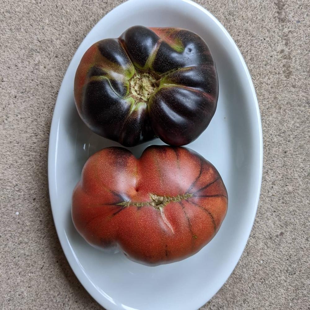 Photo of Tomato (Solanum lycopersicum 'Black Beauty') uploaded by Hammerojustice