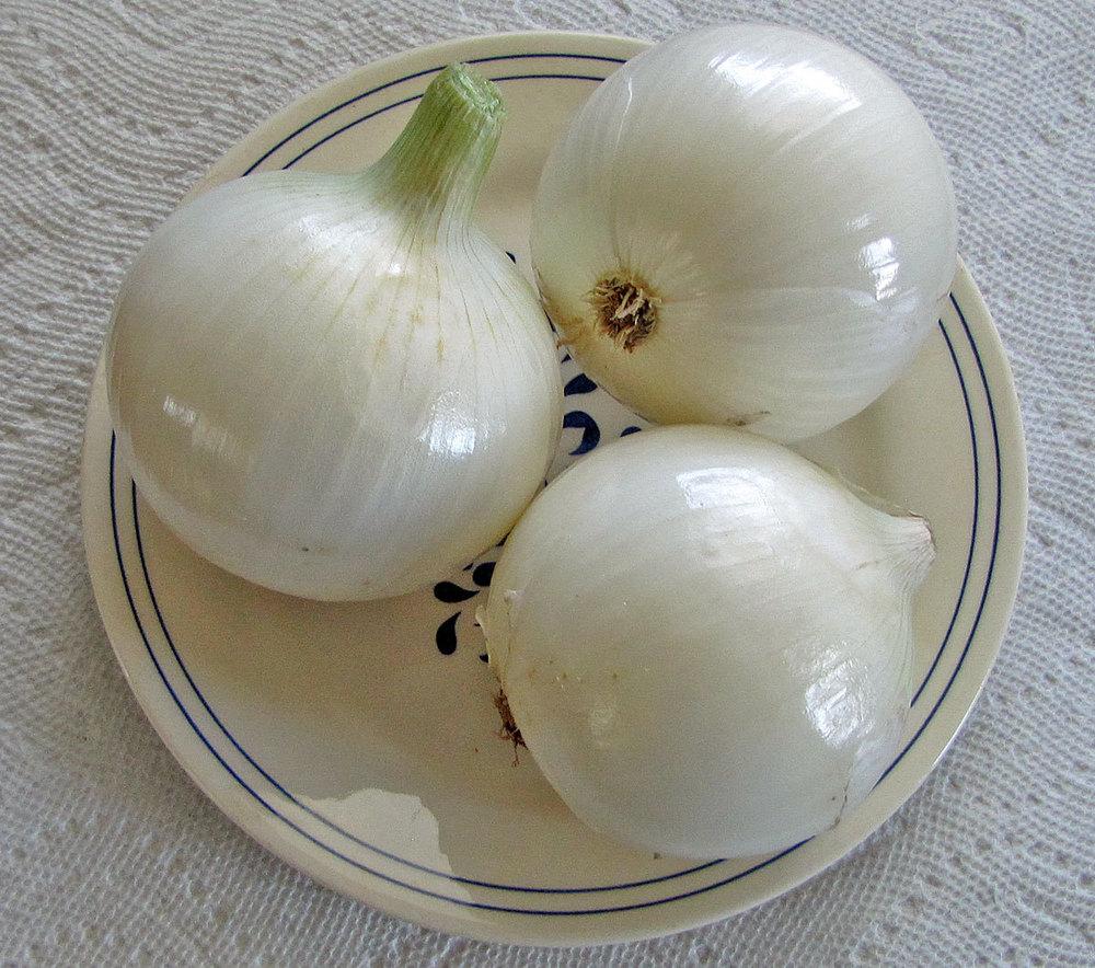 Photo of Garden Onion (Allium cepa 'Super Star') uploaded by TBGDN