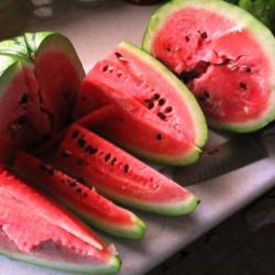 Location: Toronto, Ontario
Date: 2020-10-13
This is the very last watermelon (Citrullus lanatus 'Jubilee') th