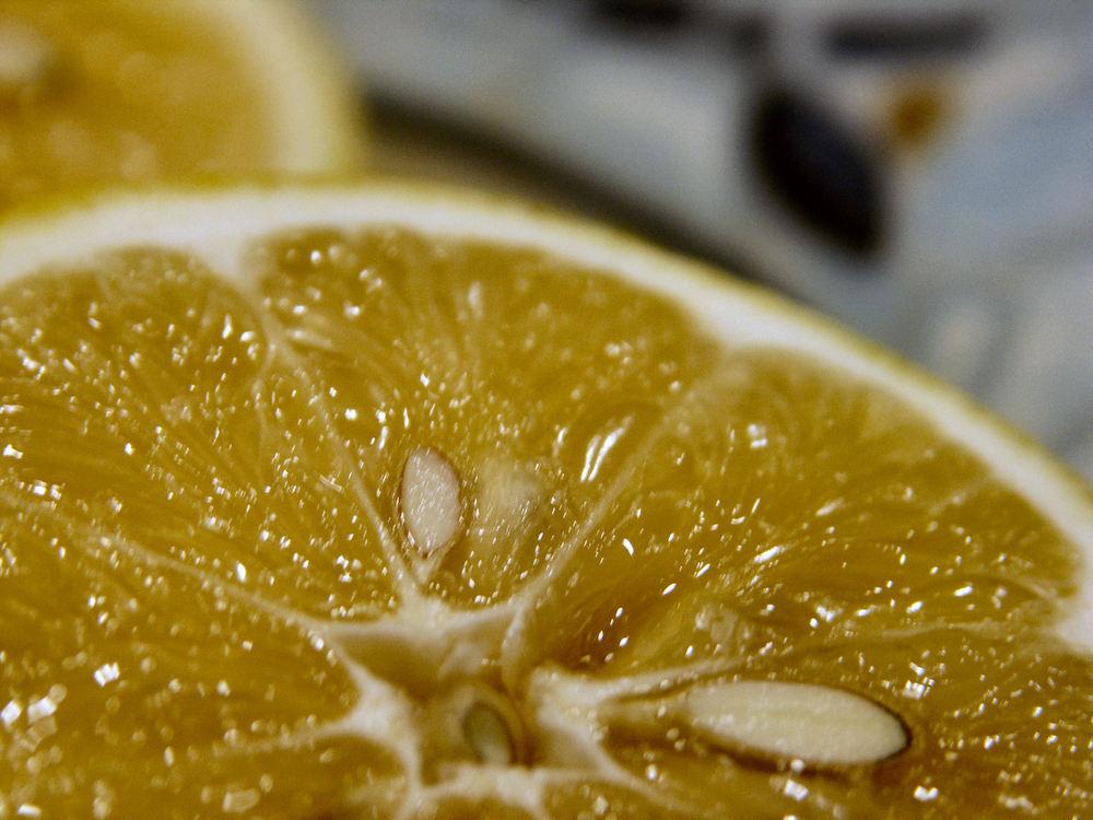 Photo of Meyer Lemon (Citrus x limon 'Improved Meyer') uploaded by RobGlen