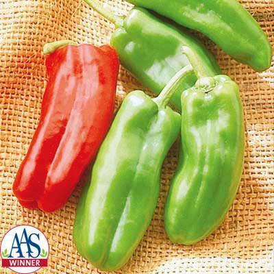 Photo of Sweet Pepper (Capsicum annuum 'Giant Marconi') uploaded by Joy