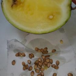 
Date: 2020-12-20
Flesh and seeds of heirloom variety "Winter watermelon". Used to 