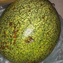 
Date: 2020-12-20
External appearance of "winter watermelon"