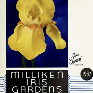 photo from the 1937 catalog, Milliken Iris Gardens, Pasadena, Cal