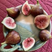 ripe brown turkey figs, table seving