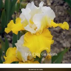 
Date: 2021-04-09
Image courtesy of Iris City Gardens