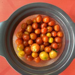 Location: Gardenfish garden 
Date: July 6 2021
100 assorted cherry tomatoes picked this morning