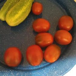 Location: raised bed
Date: 2021-07-13
Todays harvest of Black Plum tomatoes