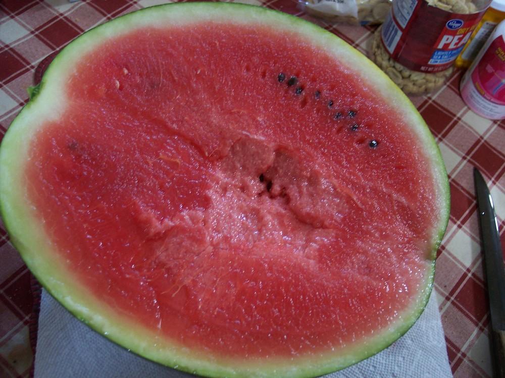 Photo of Watermelon (Citrullus lanatus 'Jade Star') uploaded by farmerdill