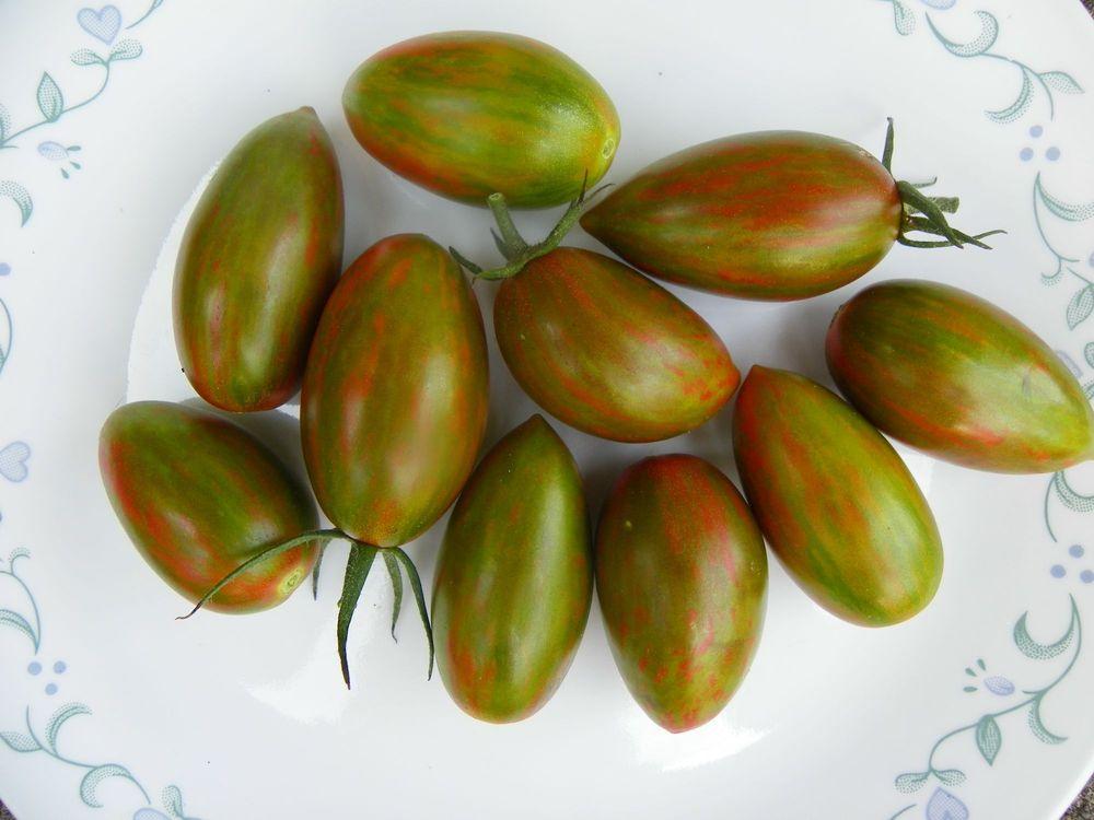 Photo of Tomato (Solanum lycopersicum 'Cream of the Crop Bronze Torch') uploaded by Newyorkrita