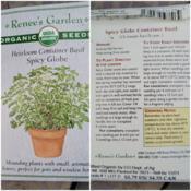 Seed packet for Spicy Globe, Renee's Garden Seeds