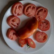 Opalka Tomato at harvest