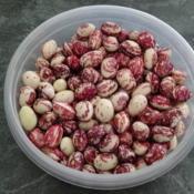 Good Mother Stallard beans (fresh shelly beans)