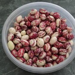 Location: My garden in Bark River, MI
Date: 2021-10-06
Good Mother Stallard beans (fresh shelly beans)