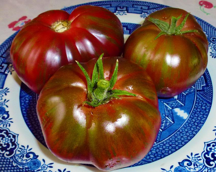 Photo of Tomato (Solanum lycopersicum 'Berkeley Tie-Dye, Pink') uploaded by Joy