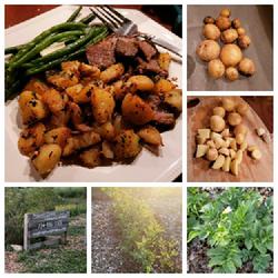 Location: Ann Arbor, Michigan
Date: 2022-07-18  
New Potatoes - Grown & Roasted for dinner, Collage