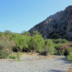 Location: Crete - Preveli beach
Date: 2022-05-27