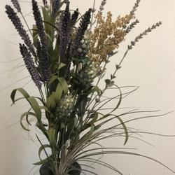 Location: Columbus, Ohio USA, Zone 6b
Date: 2022-08-17
The juncea is the grassy plant at the bottom of the vase, stickin